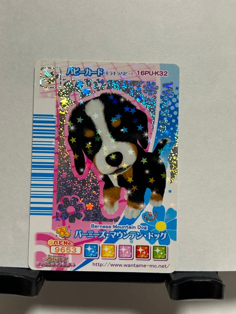 ワンタメ 【 パピーカード4枚セット＋おまけ2枚付 】 - メルカリ