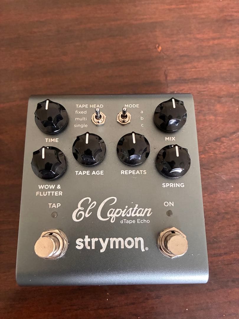 ギター Strymon El Capistan v2