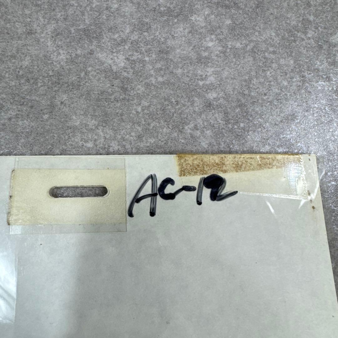 希少 おもひでぽろぽろ カットシーン セル画 C9 スタジオジブリ - メルカリ