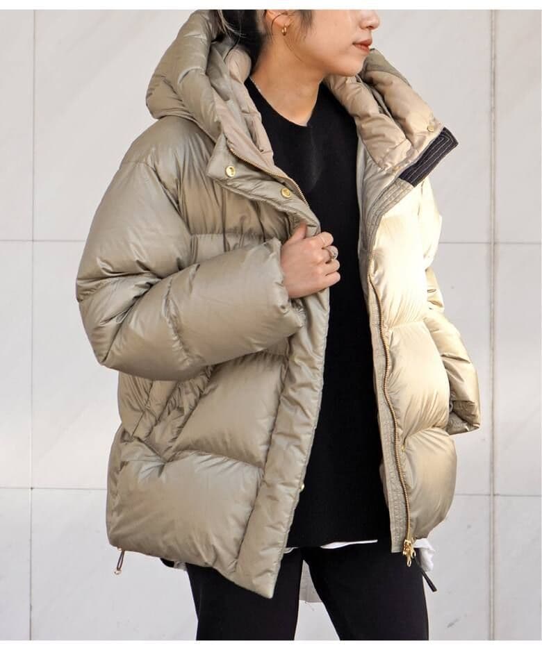 タグ付き*Goldwin 別注PERTEX QUANTUM Down Parka