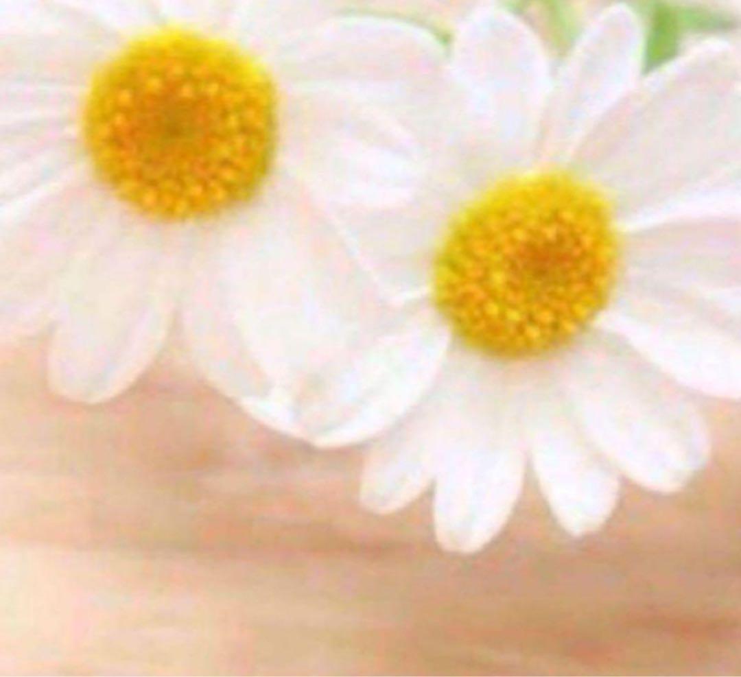 リー ★2本 2016-kawasaki-zx-10r-review-