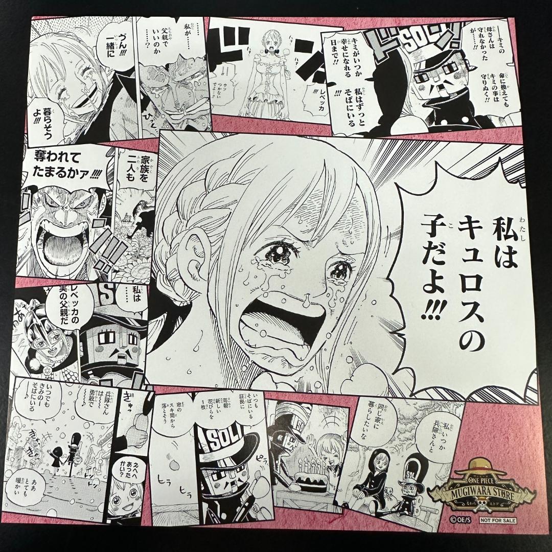 ワンピース 麦わらストア 限定特典 イラストシート ナミ 冒険の