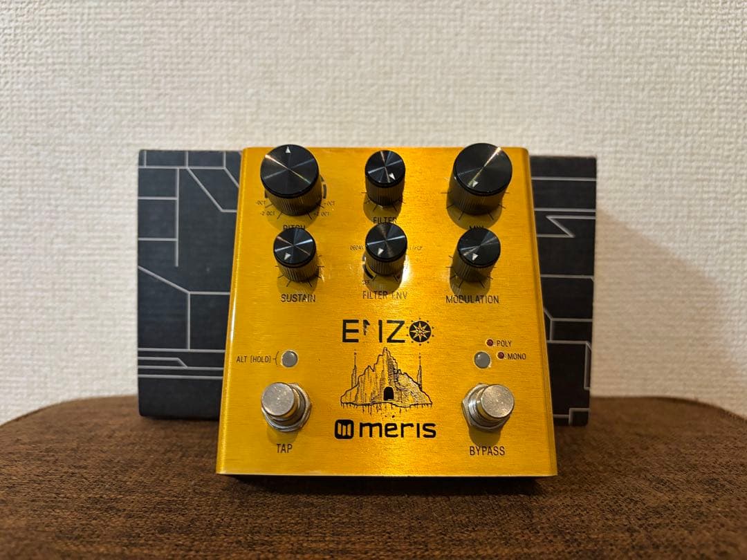 ギター meris ENZO