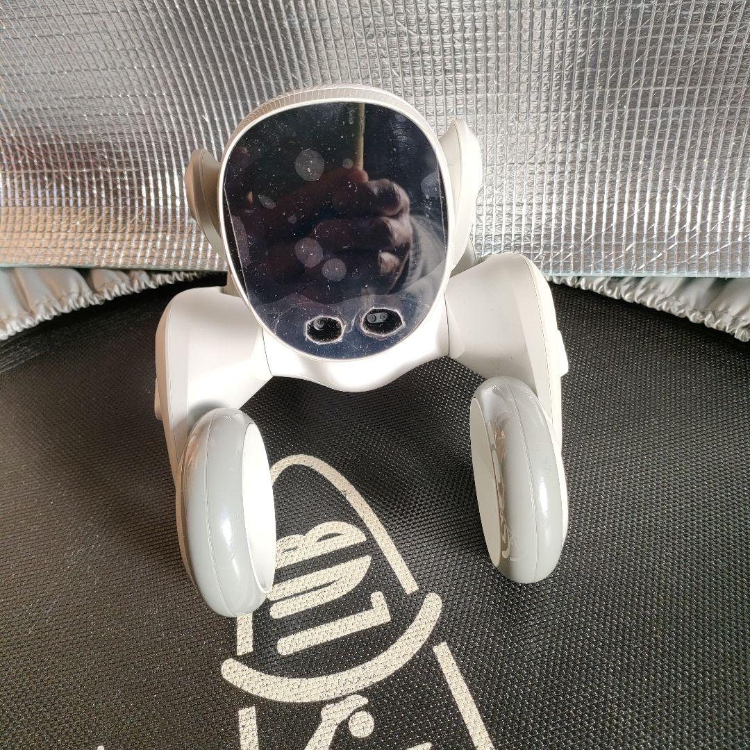 ペットロボット ルーナ Loona