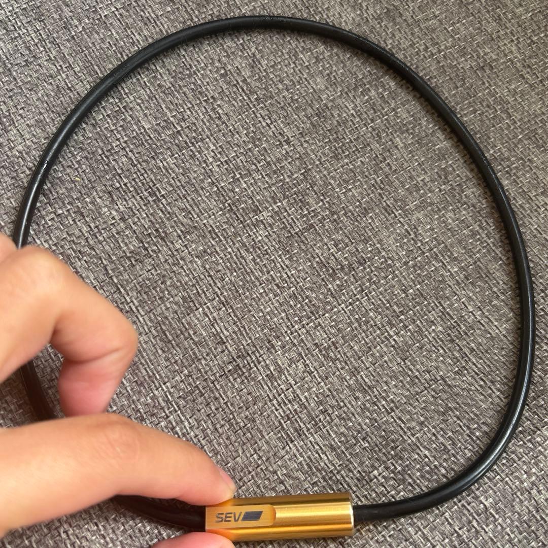 値段交渉大歓迎！ 【定価30800円】SEV Looper