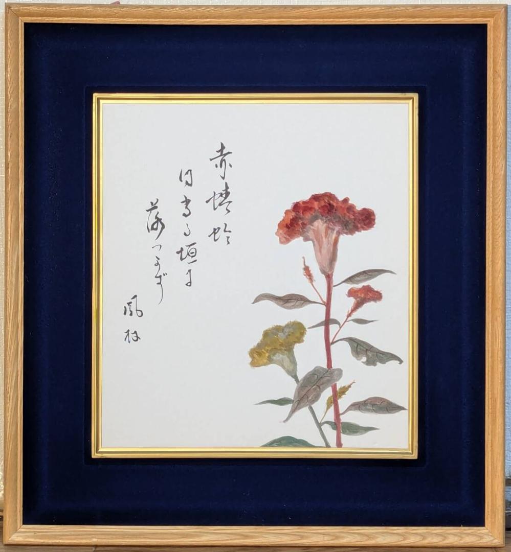 【真作】絵画　日本画（色紙）　鶏頭図　風雅な書画　秋の彩り　Z54