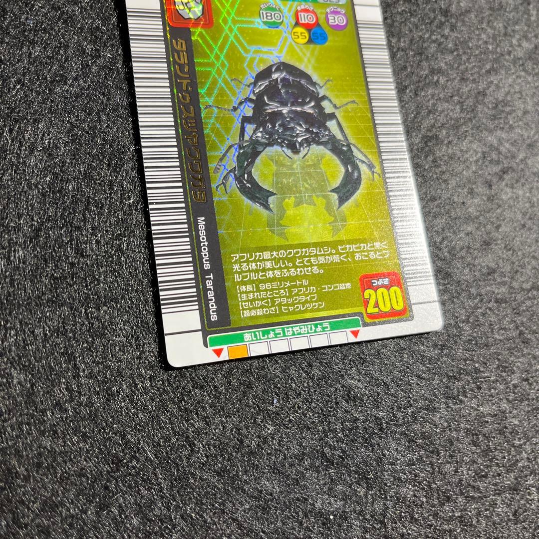 ムシキング タランドゥスツヤクワガタ - メルカリ