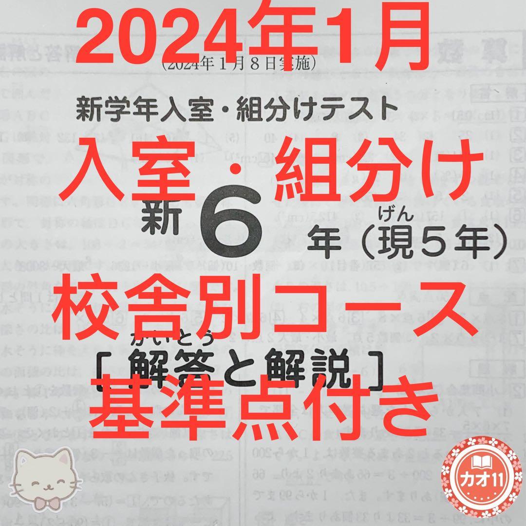 サピックス 2024年 新6年(現5年)新学年入室・組分けテスト(1月8日実施) サピックスSAPIX新6年（現5年）2019年1月実施 入室・組分けテスト