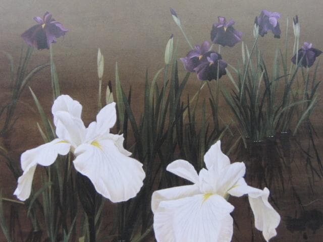 河合美江、【白菖】、希少な額装用画集より、新品額装付