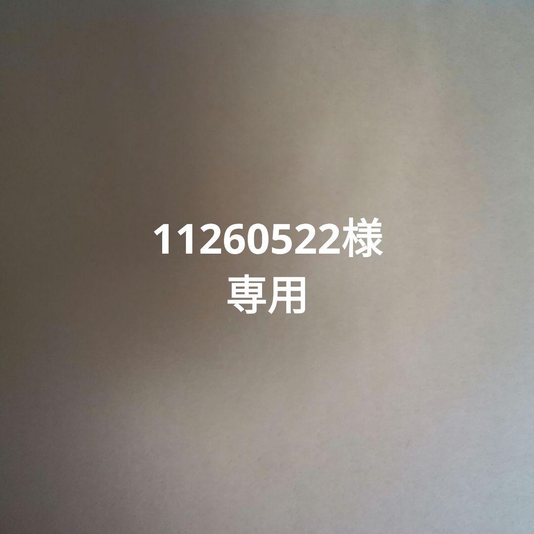 語学・辞書・学習参考書 11260522