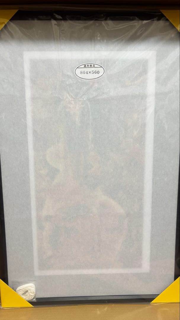 限定60枚 専用フレーム付き ロッキンジェリービーン 複製画 森のマドンナ