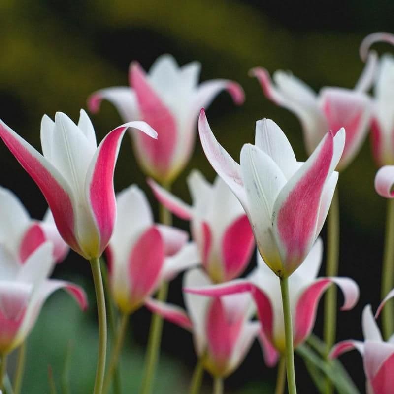 さーこ様 リクエスト 2点 まとめ商品 - メルカリ