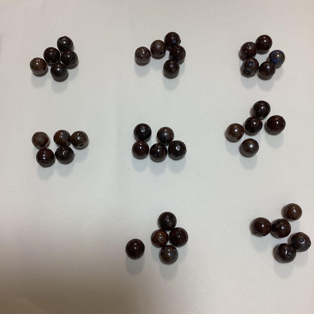 アースボール ブルー 40個