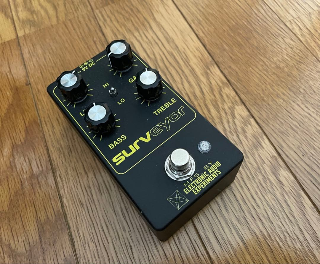 ギター Electronic Audio Experiments Surveyor