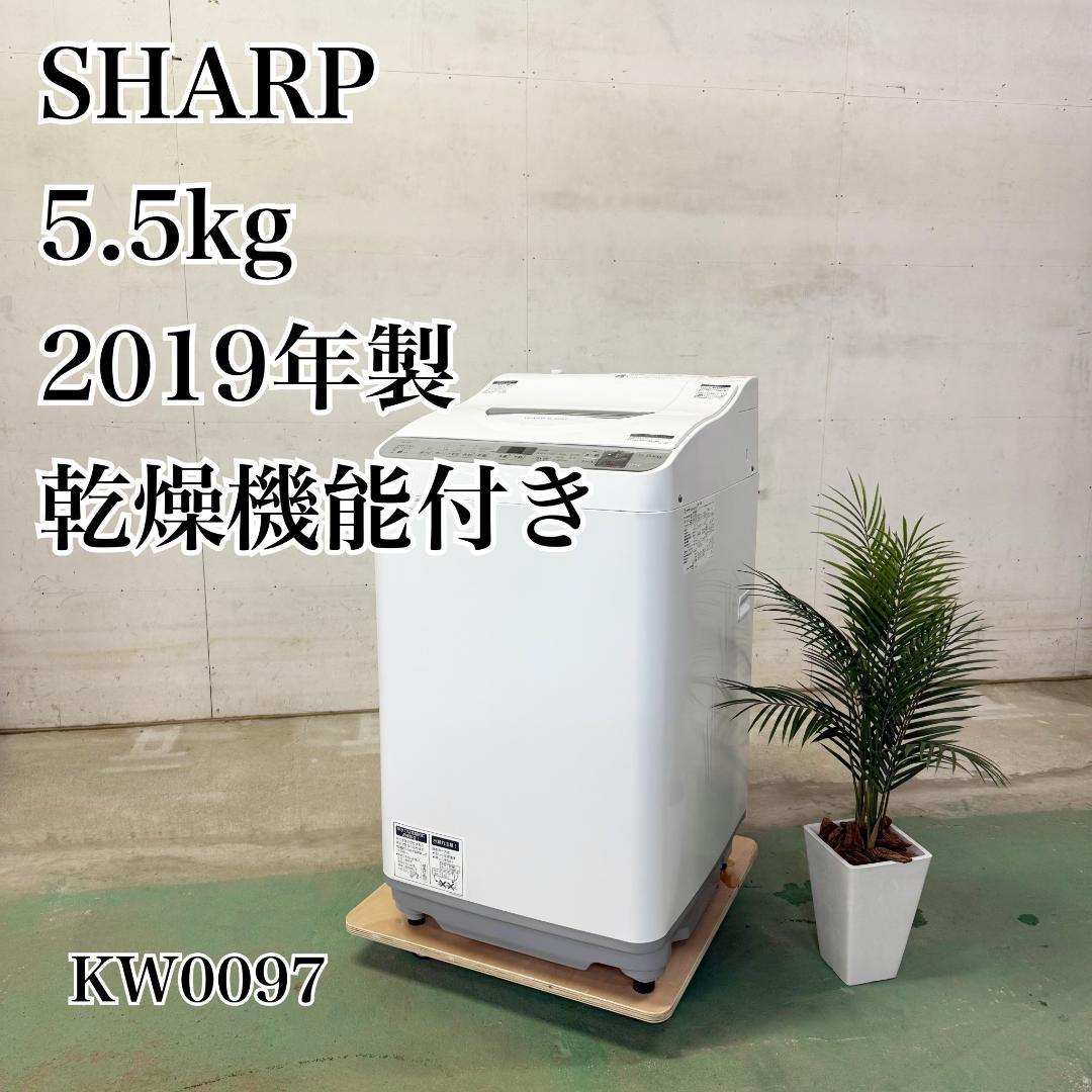 SHARP 洗濯機 小型 一人暮らし 5.5kg 2019年製 KW0097