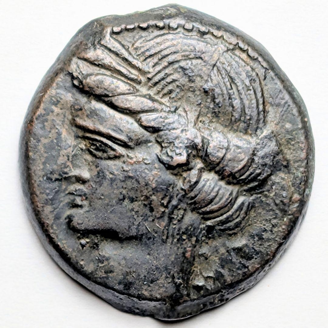 TKC129 カルタゴのタニトと馬 Hermès Limited Edition Nata Swift And Toile Goeland Cargo Picotin