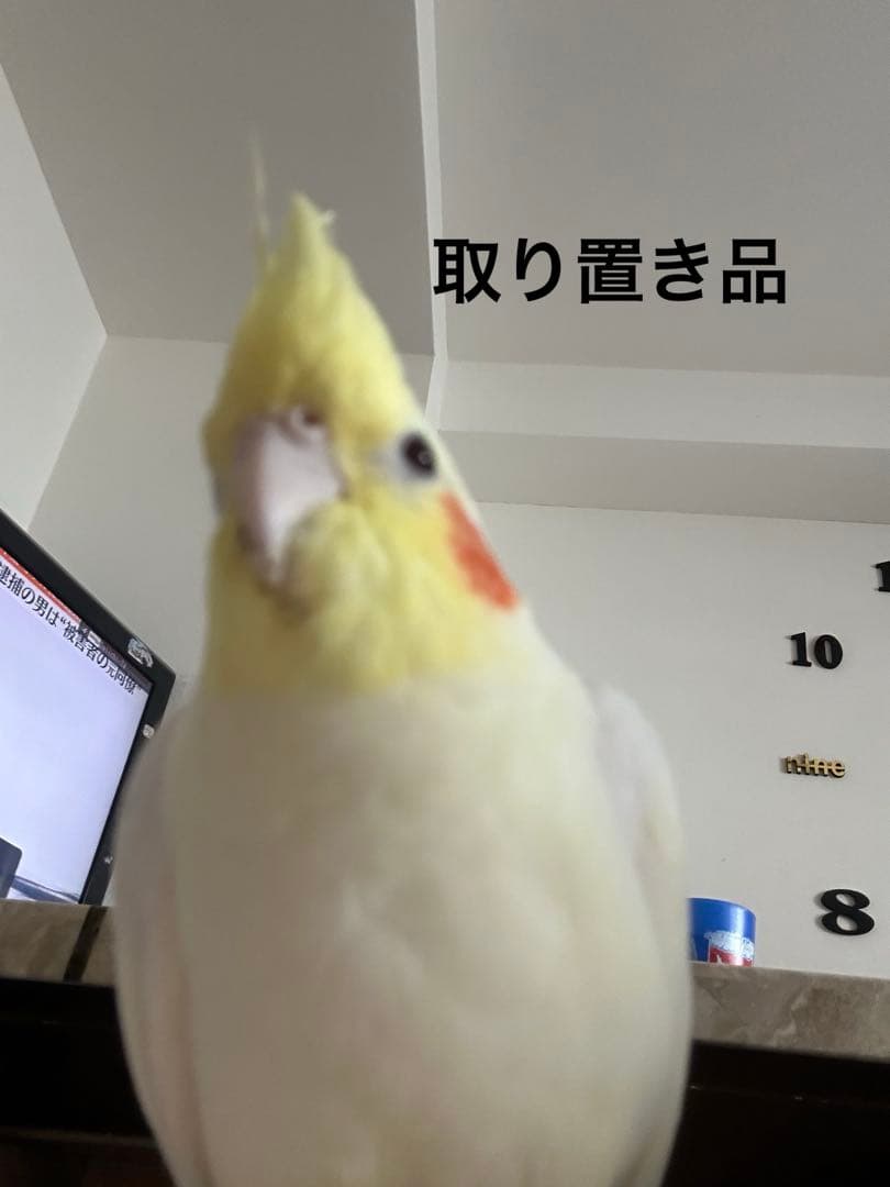 取置き品 132SR / 132SL｜オートヒンジ丁番型（オート丁番）｜日東工器