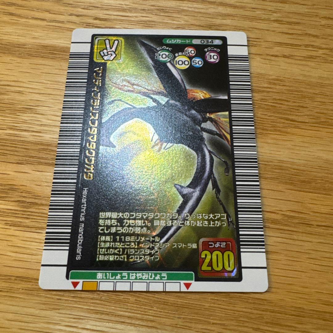 限定美品】マンディブラリスフタマタクワガタ ムシキング 2005夏限定