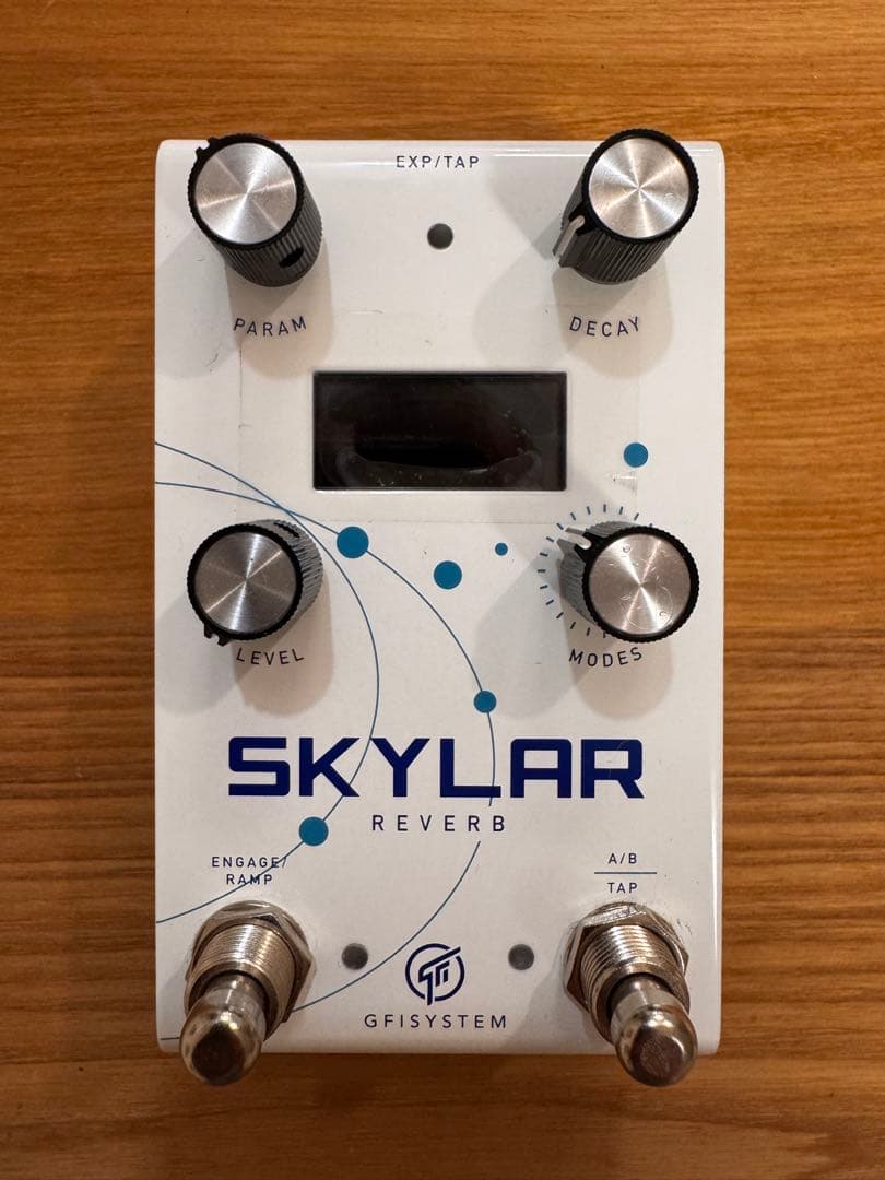 ギター GFI SYSTEM SKYLAR REVERB