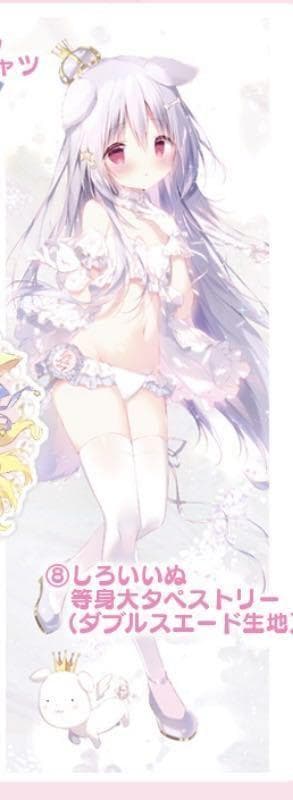 しらたま　しろいいぬ　等身大タペストリー Amazon.co.jp: あまいろショコラータ かぐや 等身大タペストリー
