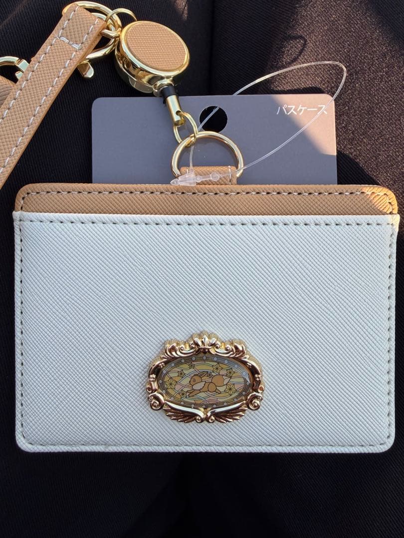 ポケパークカントー PoKePARK KANTO 限定 イーブイ パスケース - メルカリ