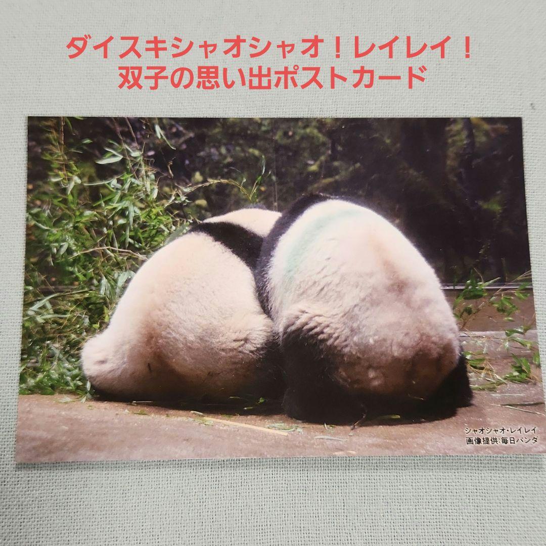 双子の思い出ポストカード シャオシャオ レイレイ 毎日パンダ 上野