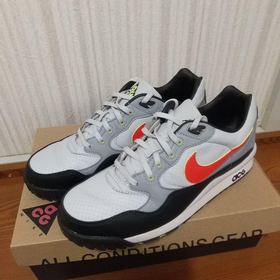 靴 Nike Air Wildwood ACG 10 (US)