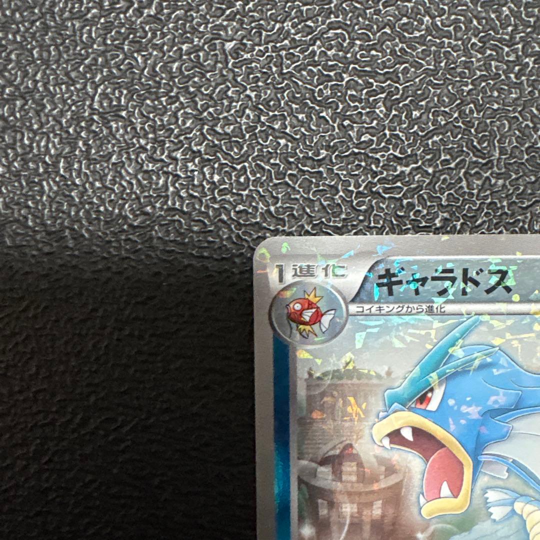 ギャラドス ガブリアスデッキ30 GBR 002/015 - メルカリ