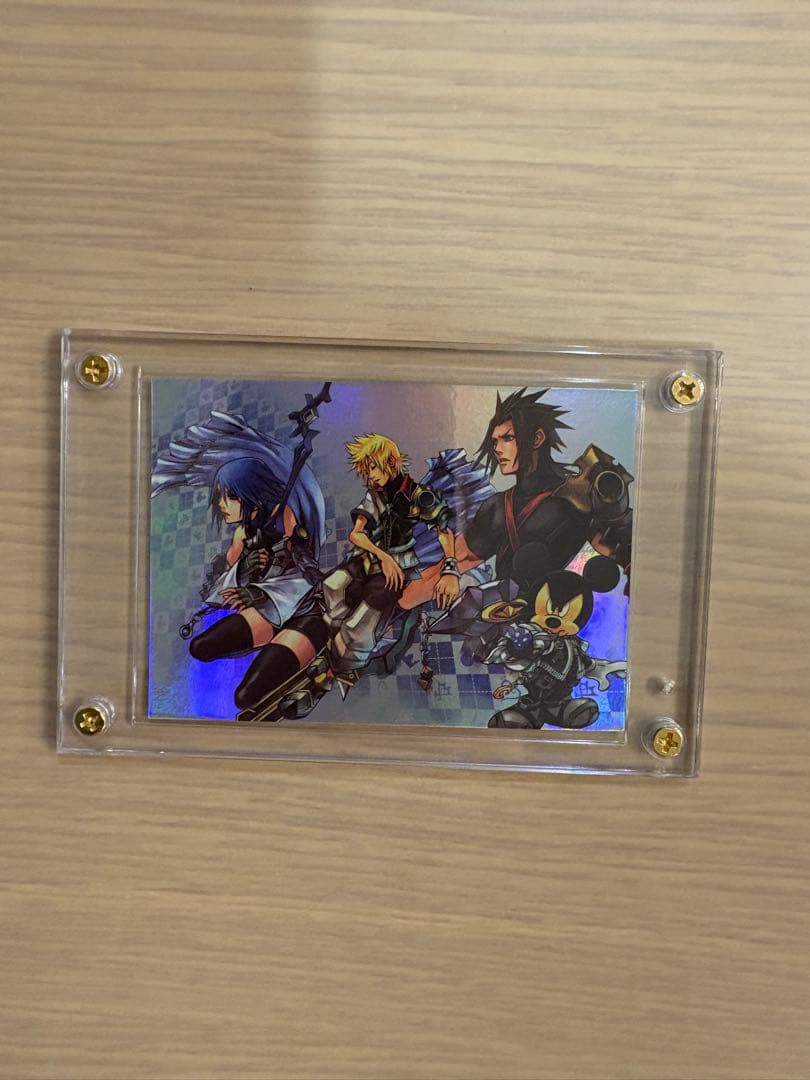 (Panpan)キングダムハーツアートミュージアム