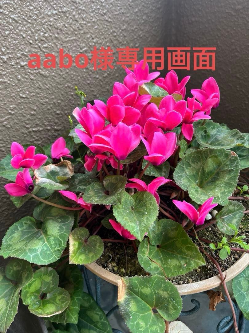 奈良老舗高級油煙名墨20g 上級者書画古墨状態良！他　3掲載