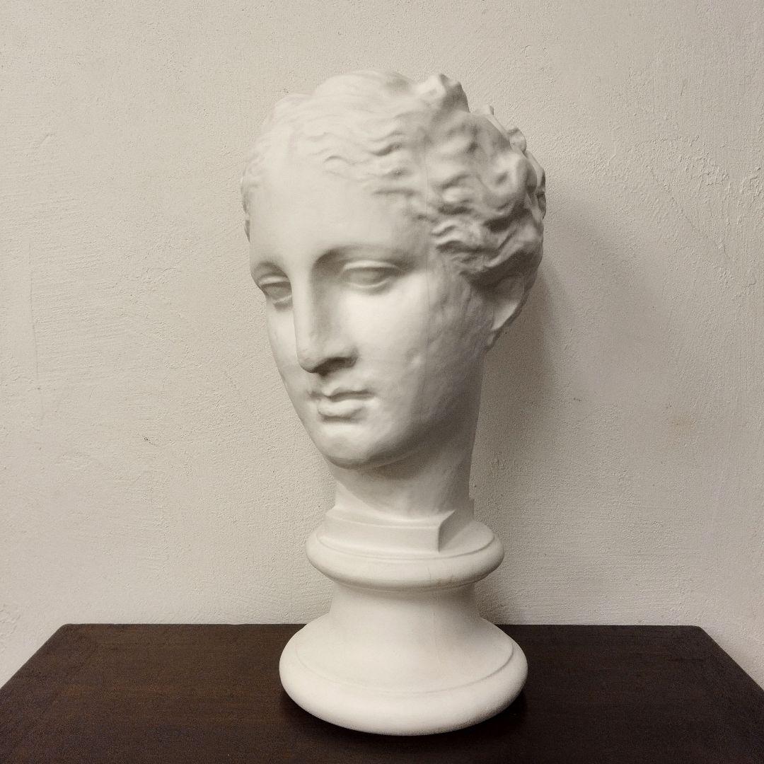 石膏像 古代ヴィーナス首像 アバタのヴィーナス デッサン - メルカリ