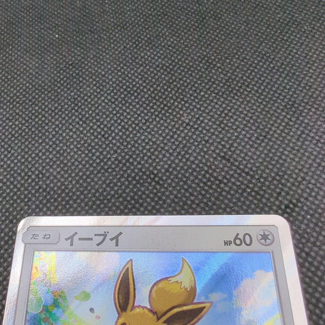 ポケモンカード イーブイ プロモ ジム GYM エナジーしんか 245/SM-P