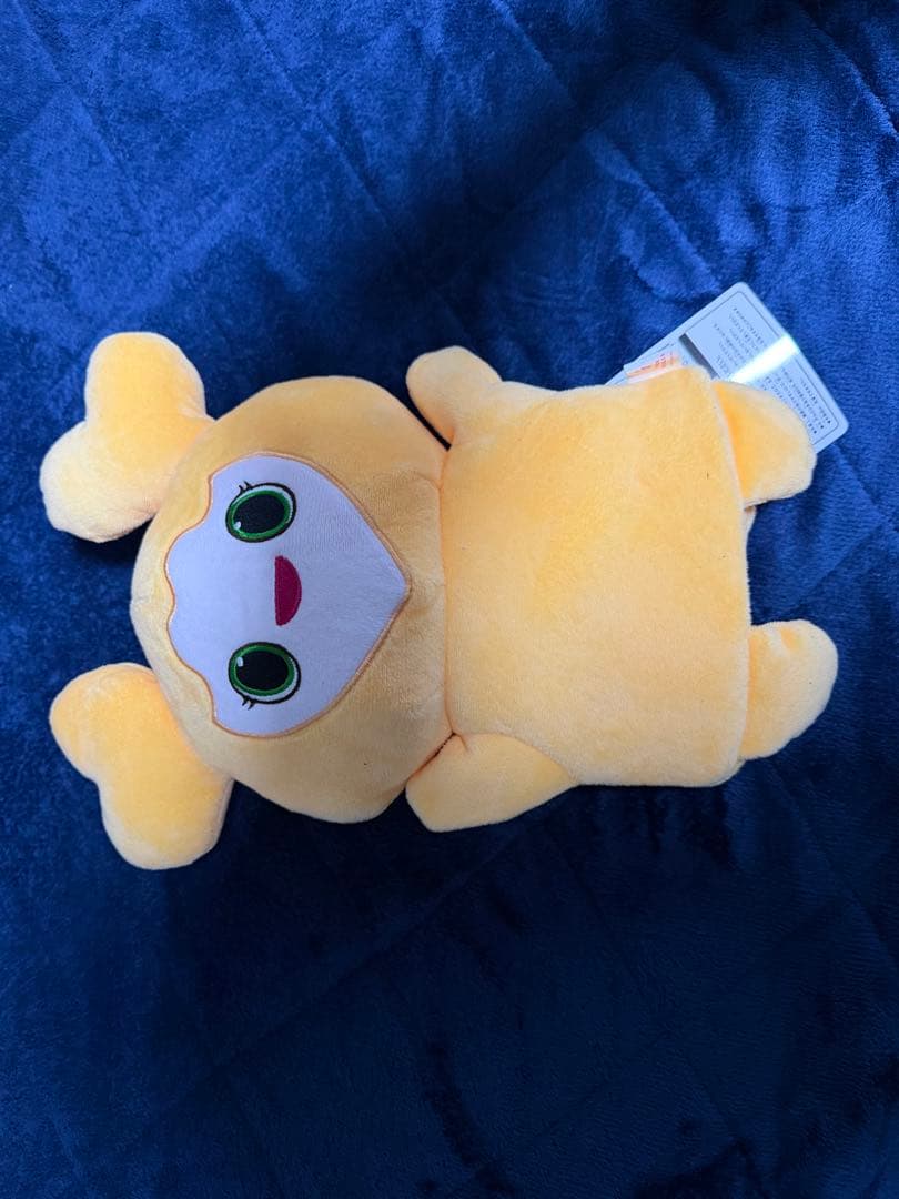 【価格改定】GIGO限定　ジヒョ