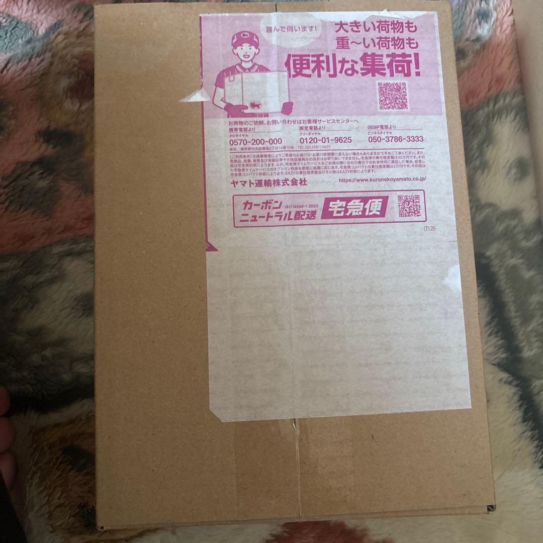 鑑定書付 ムニキスゼロbox ポケセン産当選品