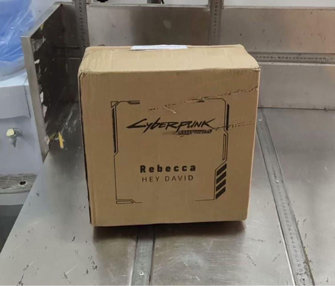 サイバーパンク レベッカ ガレージキット ガレキ スタチュー② - メルカリ