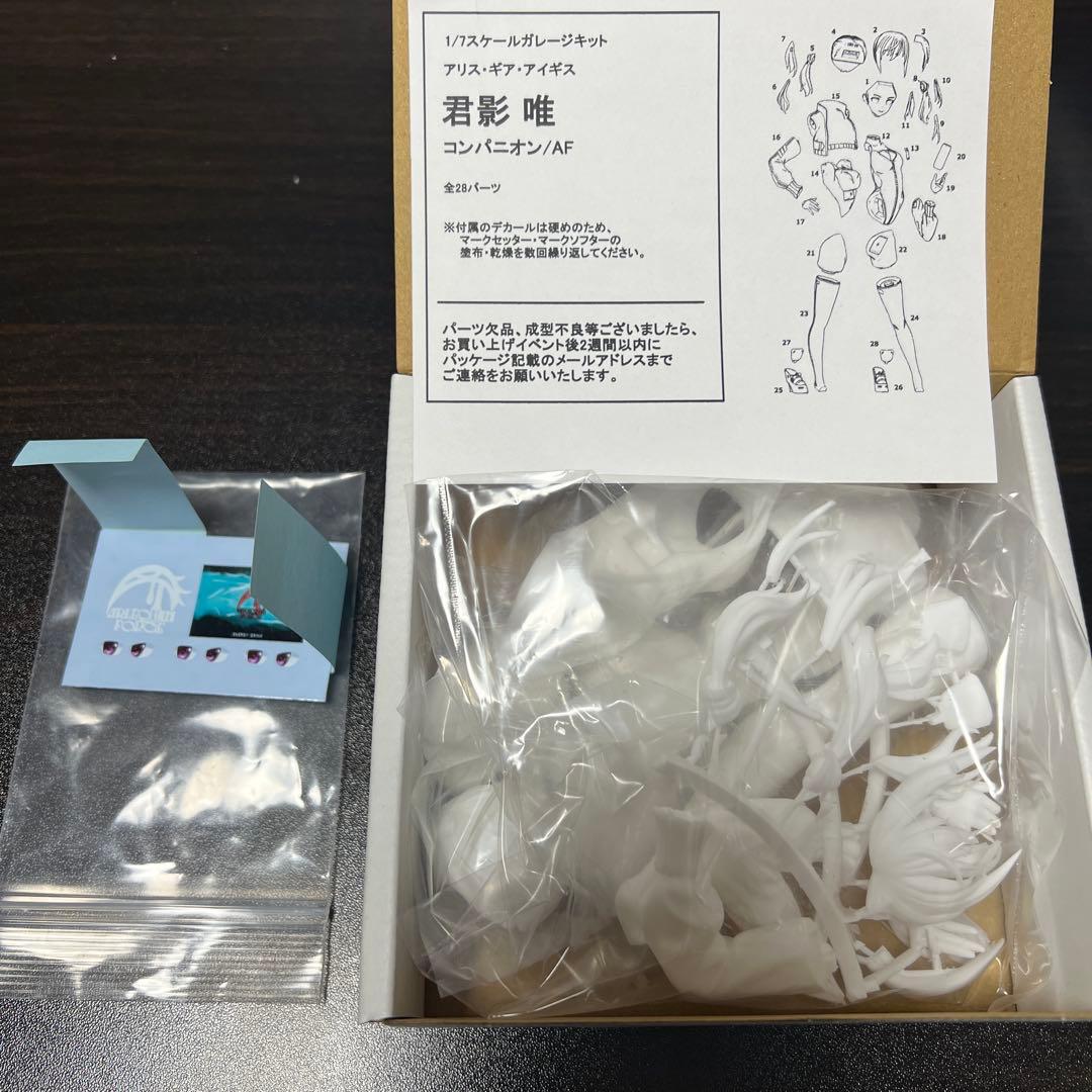 ガレージキット 未組立 アリス・ギア・アイギス 君影唯 コンパニオン