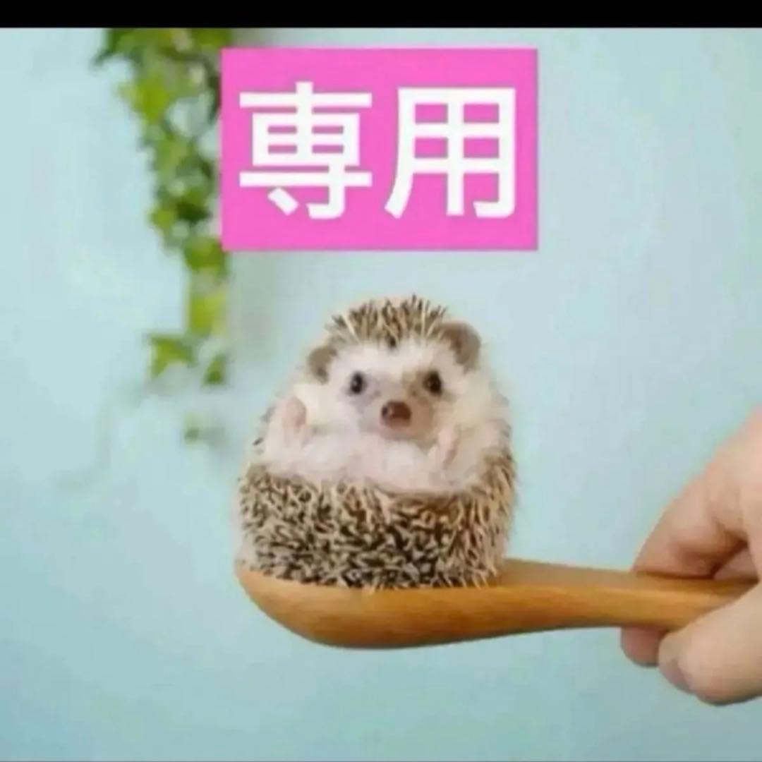 3点、カプチュールローション2点、カプチュールリッチクリーム