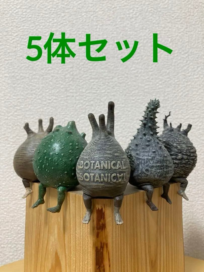 OZWRT SS PachypodiuMan 5体セット