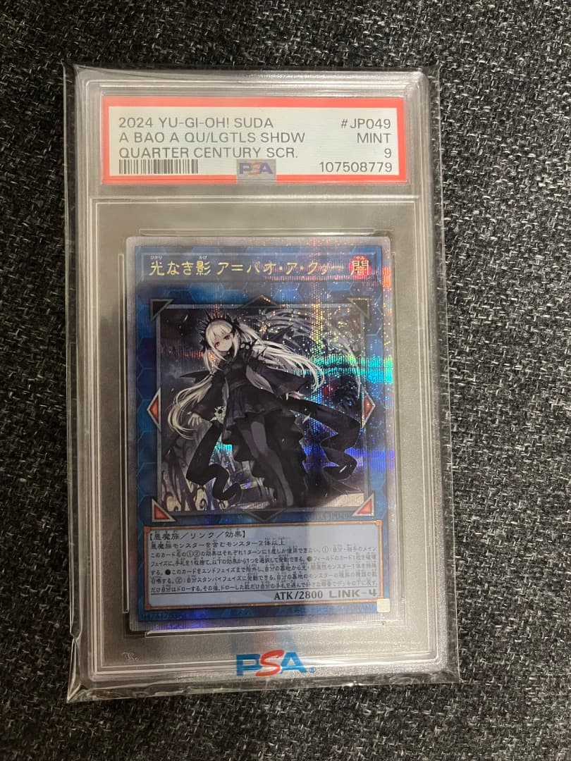 光なき影 ア＝バオ・ア・クゥー 25th psa