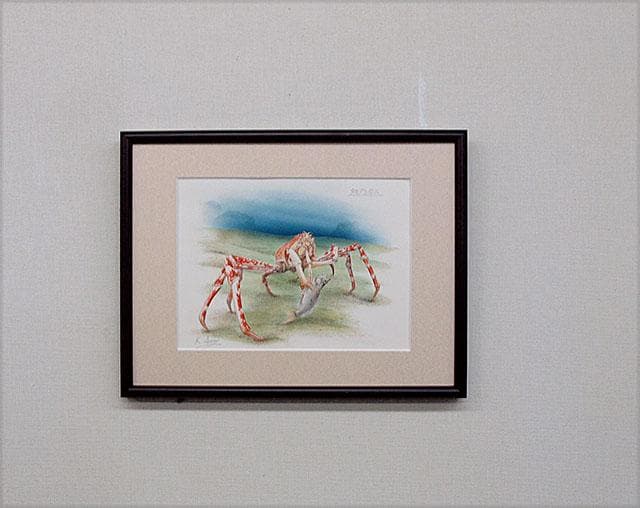 生物細密画画「タカアシガニ」 - メルカリ