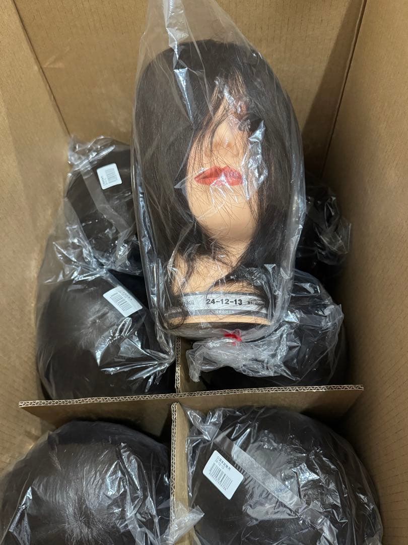 美容国家試験用カット ウィッグ(未使用）