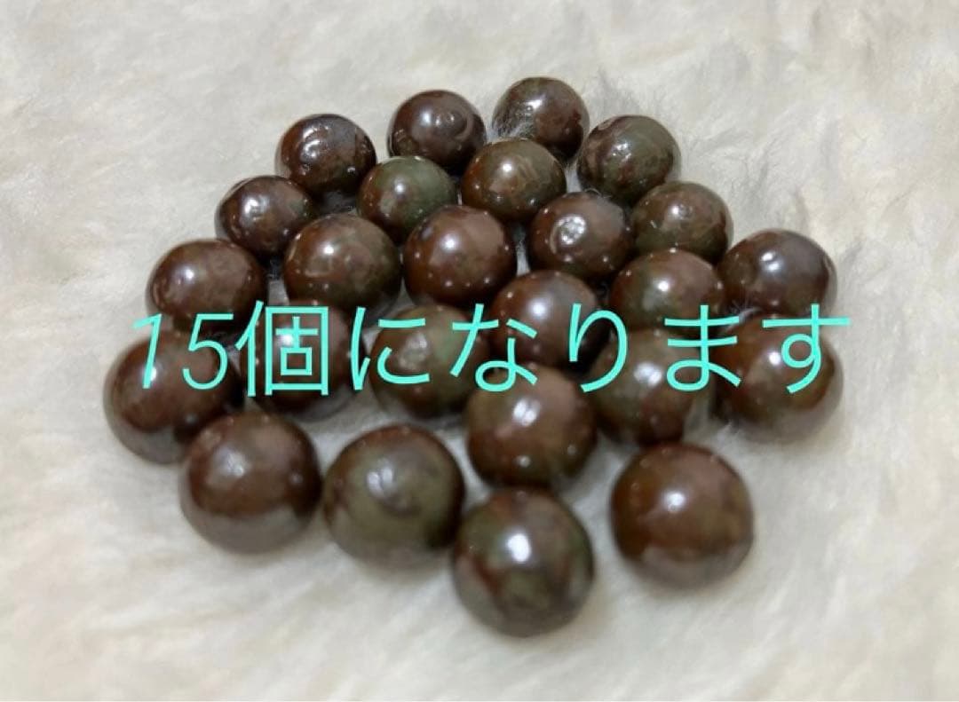 ワールドレップサービス アースボール グリーン15個2026.1月購入分