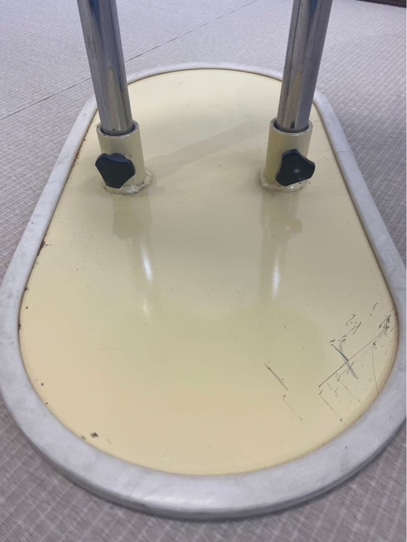 百日草　着付け　ボディ　ひゃくにちそう