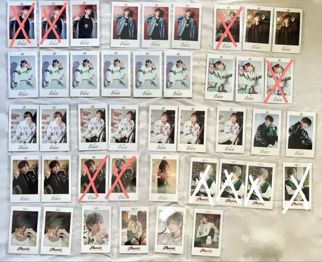 うらたぬきミニフォトカード バラ売り可 - メルカリ