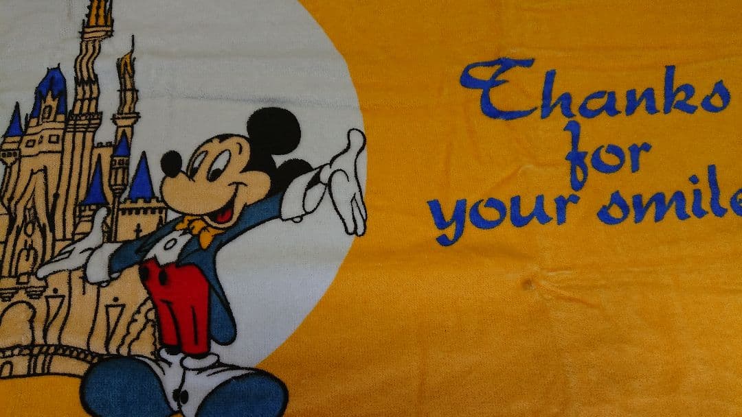 東京ディズニーランドキャスト限定サンクスデー1992年1993年タオル