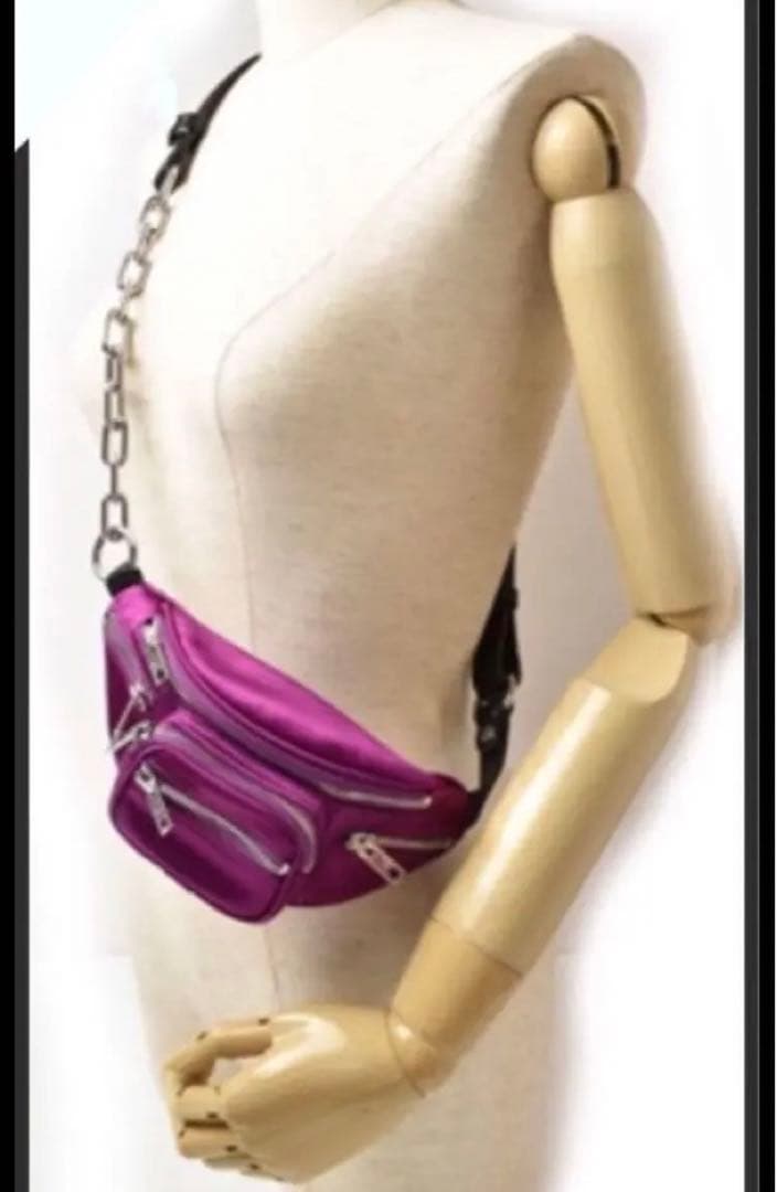 ALEXANDER WANG ボディバック アッティカ ミニファニーパック Alexander Wang Attica bag | eBay