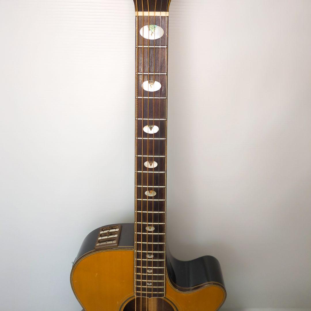 オンラインホビー・楽器・アート - Takamine タカミネ PT-112 エレアコ