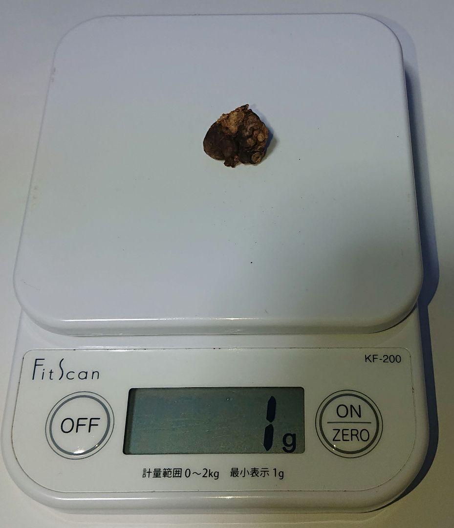 聞香・柬蒲寨産 根瘤黄花梨