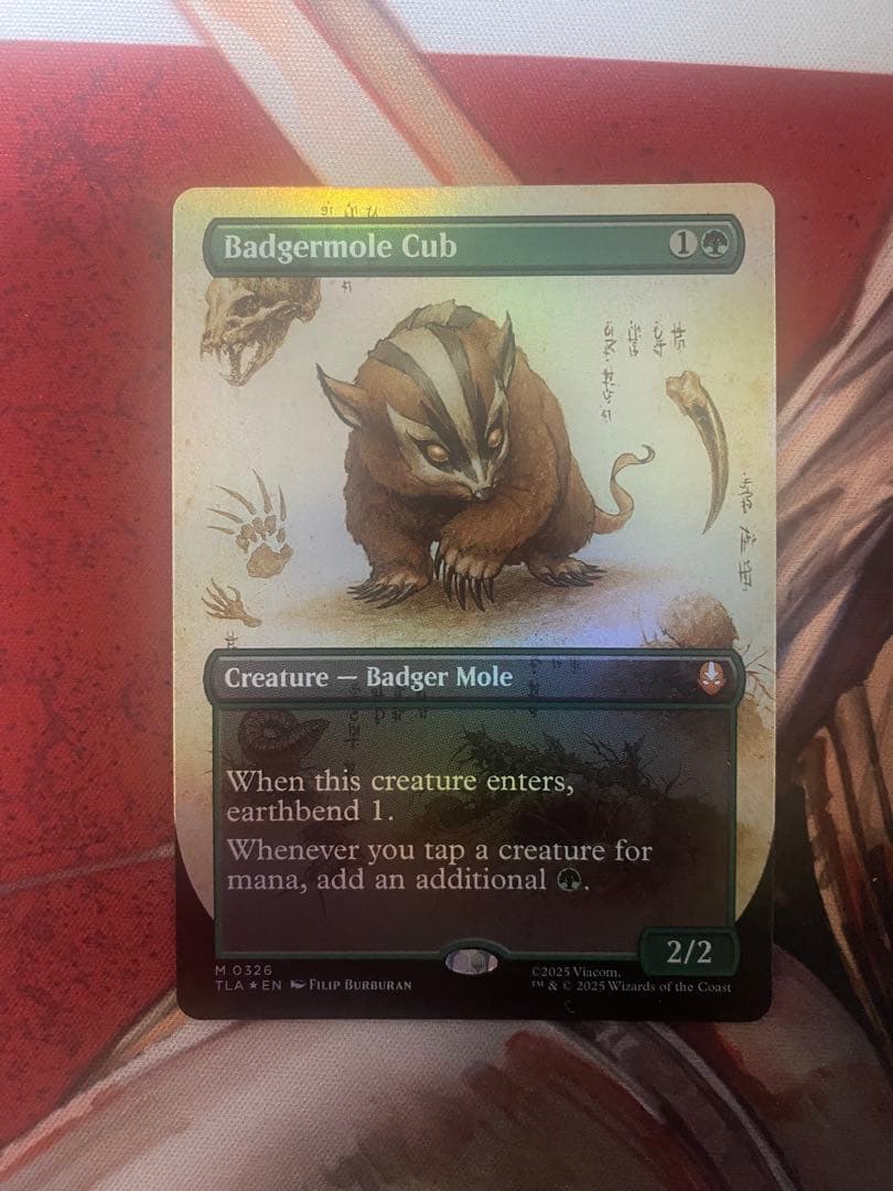 Mtg [FOIL] アナグマモグラの仔/Badgermole Cub 英語版