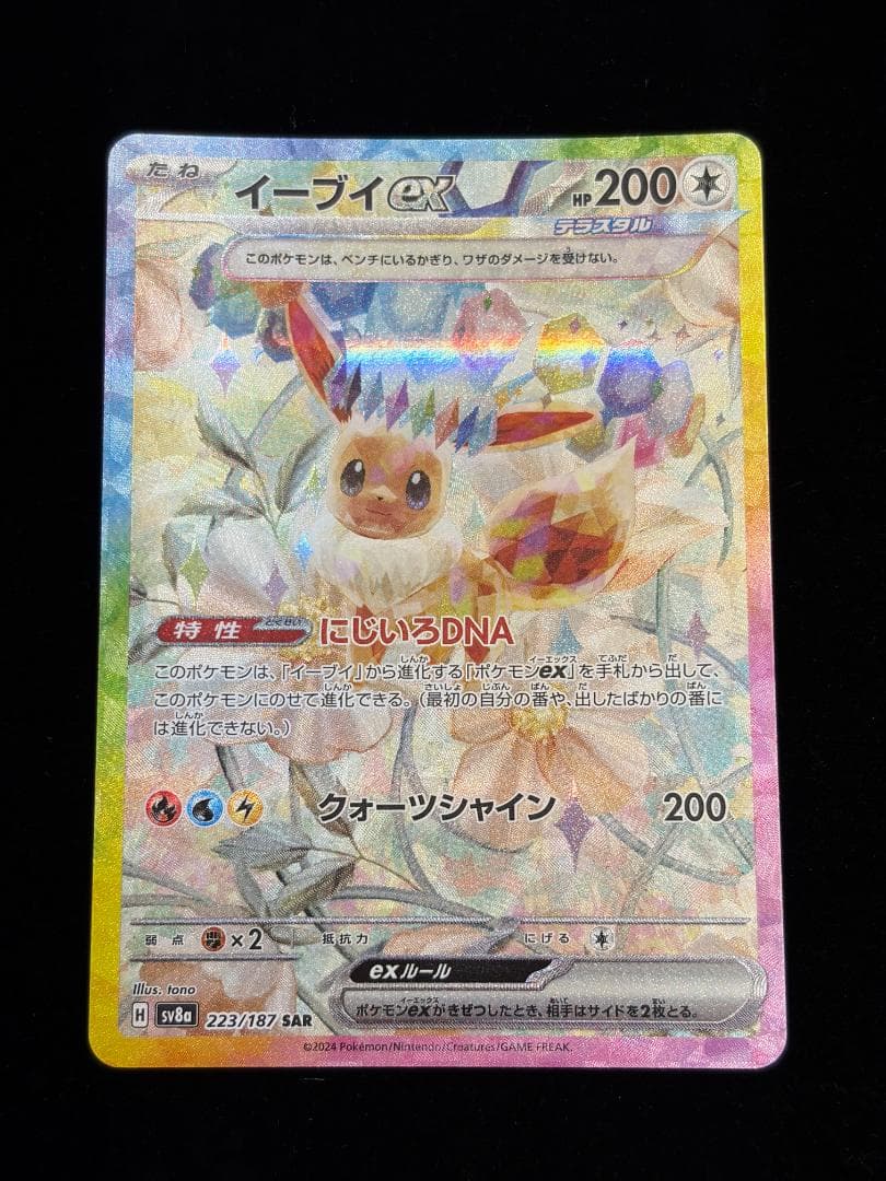 ブイズ ex SAR コンプ 10枚 テラスタルフェス イーブイ進化ラインNO2